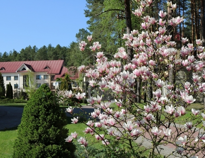 Санаторий «Озерный» Беларусь